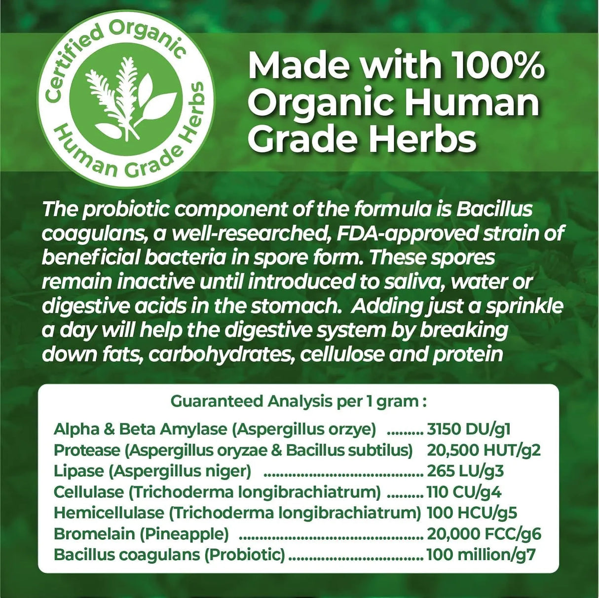 ANIMAL ESSENTIALS - Animal Essentials Plant Enzyme & Probiotics for Dogs & Cats 100Gr. - The Red Vitamin MX - Probióticos Para Perros - {{ shop.shopifyCountryName }}