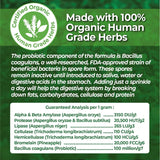 ANIMAL ESSENTIALS - Animal Essentials Plant Enzyme & Probiotics for Dogs & Cats 100Gr. - The Red Vitamin MX - Probióticos Para Perros - {{ shop.shopifyCountryName }}