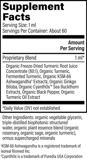 GLOBAL HEALING CENTER - Global Healing Center Brain Health 2 Fl.Oz. - The Red Vitamin MX - Suplementos Alimenticios - {{ shop.shopifyCountryName }}