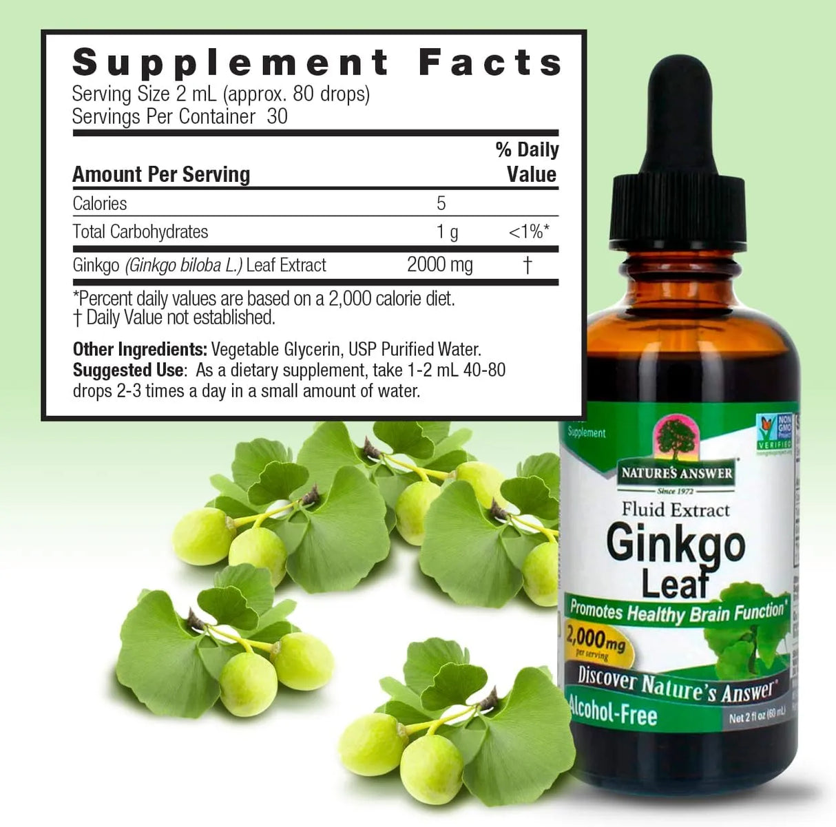 NATURE´S ANSWER - Nature's Answer Alcohol-Free Ginkgo Leaf 2 Fl.Oz. - The Red Vitamin MX - Suplementos Alimenticios - {{ shop.shopifyCountryName }}