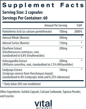 VITAL NUTRIENTS - Vital Nutrients Adrenal Support 120 Capsulas - The Red Vitamin MX - Suplementos Alimenticios - {{ shop.shopifyCountryName }}