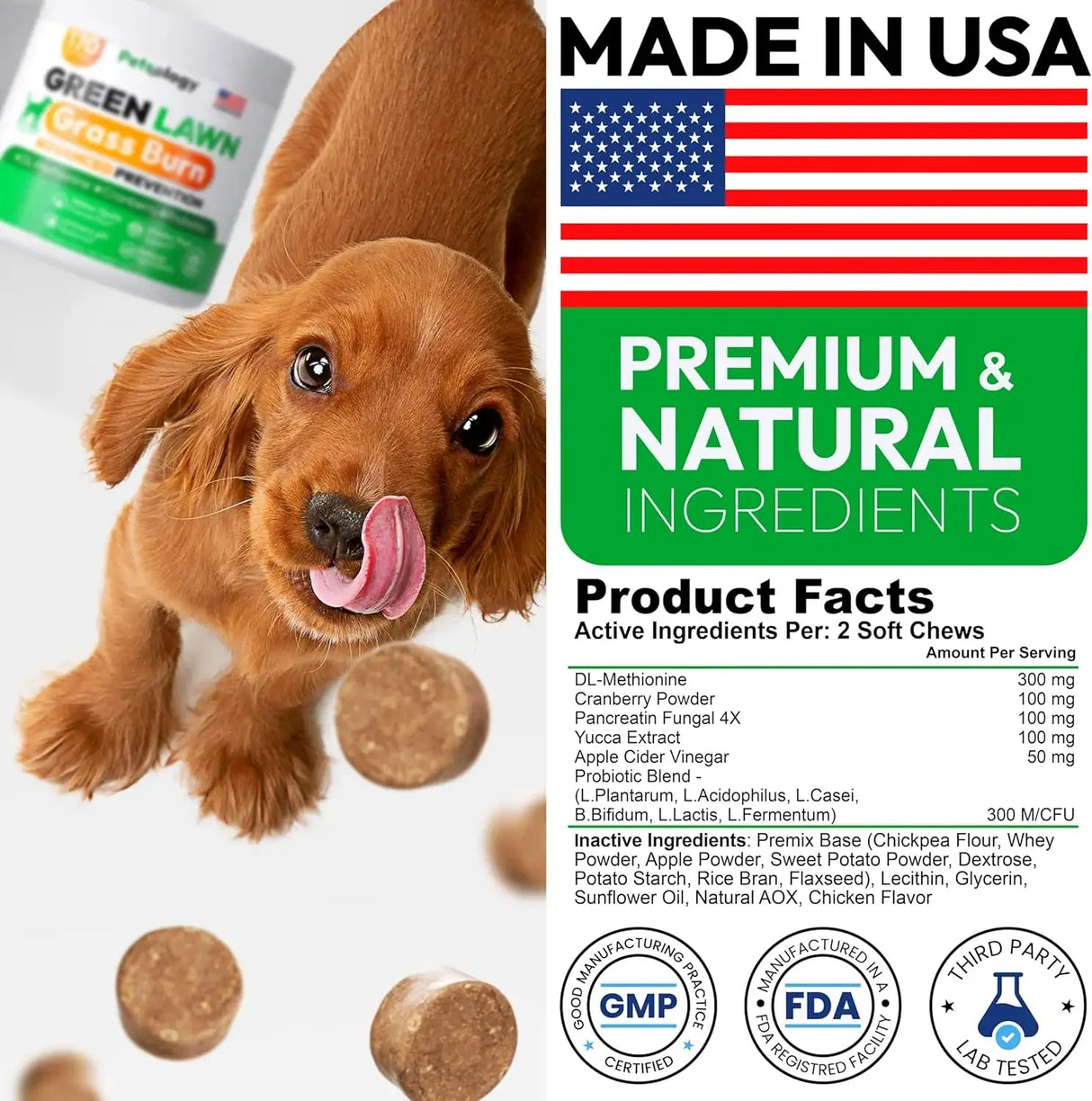 PETSOLOGY - Petsology Dog Urine Neutralizer for Lawn 170 Masticables - The Red Vitamin MX - Salud De Tracto Urinario Para Perros - {{ shop.shopifyCountryName }}