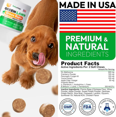 PETSOLOGY - Petsology Dog Urine Neutralizer for Lawn 170 Masticables - The Red Vitamin MX - Salud De Tracto Urinario Para Perros - {{ shop.shopifyCountryName }}