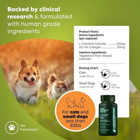 ROOTED OWL - Rooted Owl Joint and Muscle Support for Cats and Small Dogs 30 Capsulas - The Red Vitamin MX - Cuidado De Cadera Y Articulaciones Para Perros - {{ shop.shopifyCountryName }}