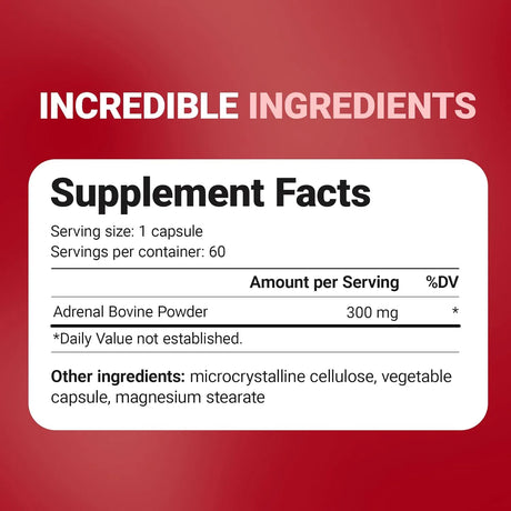 DR. BERG - Dr. Berg Adrenal Glandular 60 Capsulas - The Red Vitamin MX - Suplementos Alimenticios - {{ shop.shopifyCountryName }}