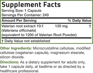 BRONSON - Bronson Valerian Root 240 Capsulas - The Red Vitamin MX - Suplementos Alimenticios - {{ shop.shopifyCountryName }}