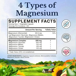 VITALITOWN - Vitalitown Magnesium Complex 120 Capsulas - The Red Vitamin MX - Suplementos Alimenticios - {{ shop.shopifyCountryName }}