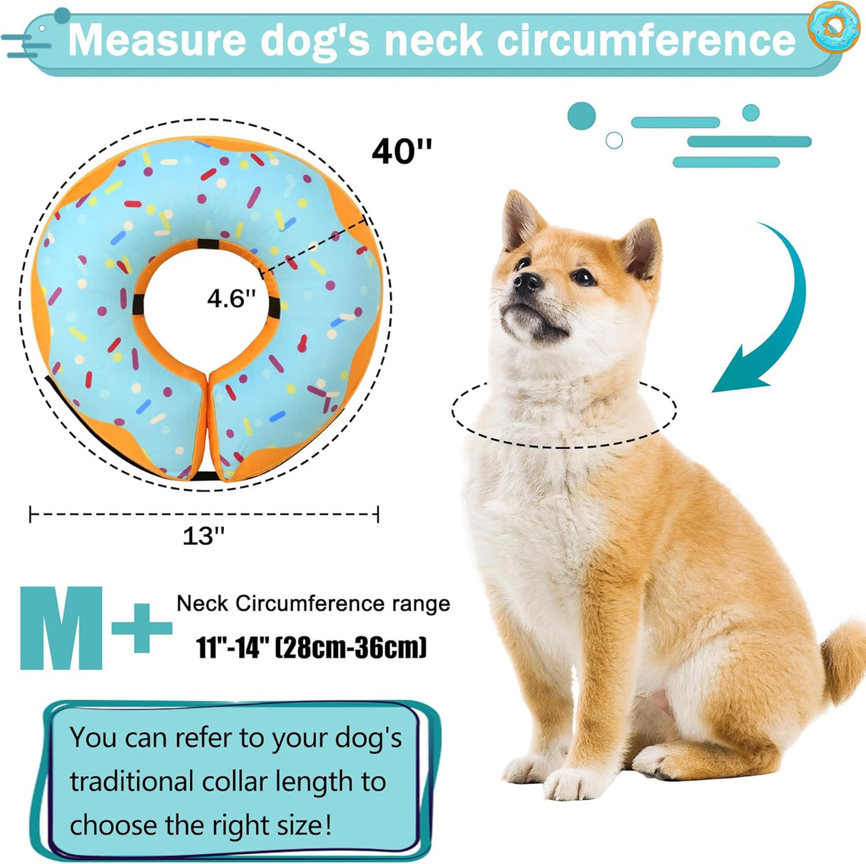 Cneo Recovery Donut Collar BLUE MEDIUM PLUS