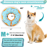 Cneo Recovery Donut Collar BLUE MEDIUM PLUS