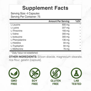 DEAL SUPPLEMENT - Deal Supplement Essential Amino Acids EAA 2000Mg. 300 Capsulas - The Red Vitamin MX - Suplementos Alimenticios - {{ shop.shopifyCountryName }}