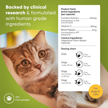 ROOTED OWL - Rooted Owl Turmeric Supplement for Dogs 60 Capsulas - The Red Vitamin MX - Cuidado De Cadera Y Articulaciones Para Perros - {{ shop.shopifyCountryName }}