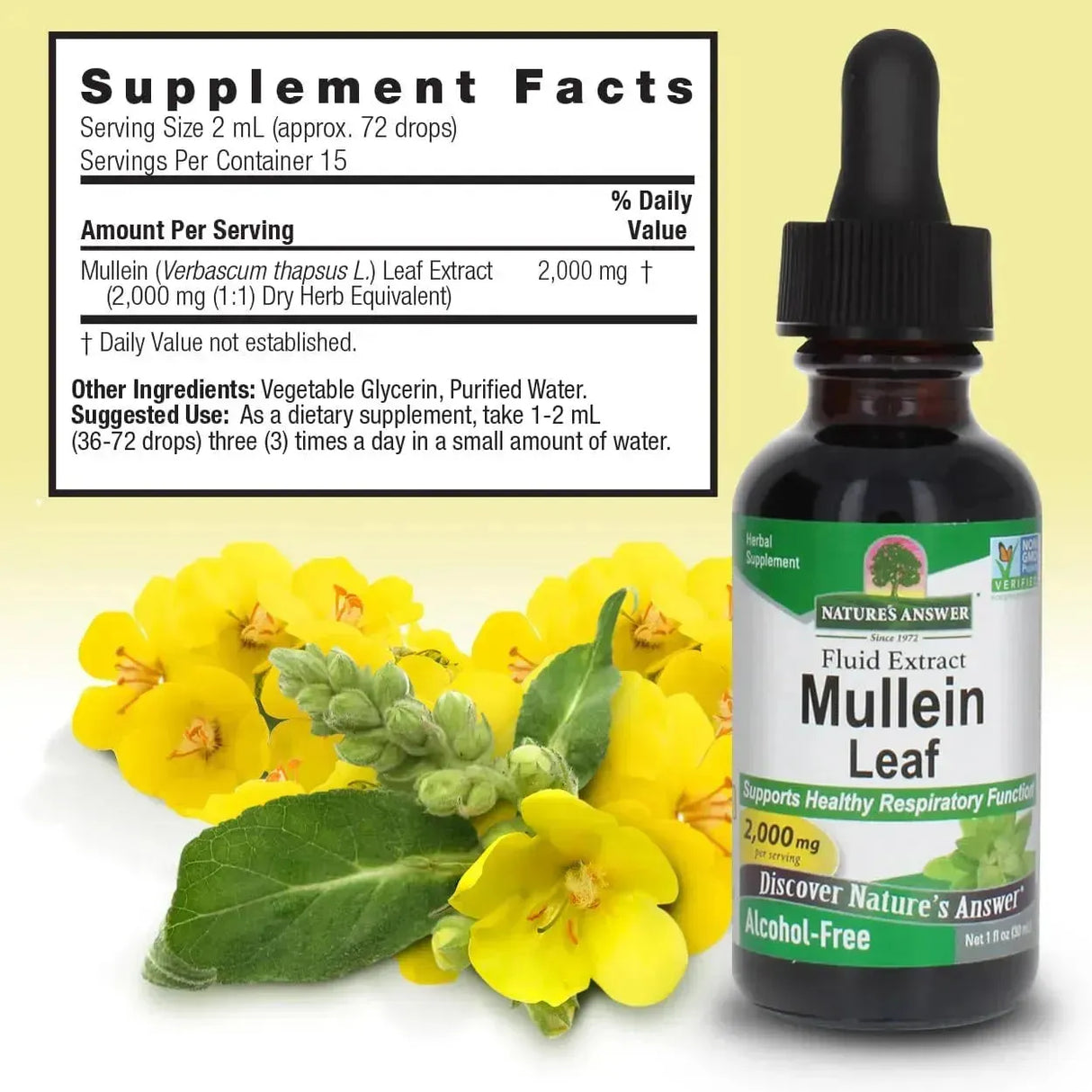 NATURE´S ANSWER - Nature's Answer Mullein Drops for Lungs 1 Fl.Oz. 2 Pack - The Red Vitamin MX - Suplementos Alimenticios - {{ shop.shopifyCountryName }}