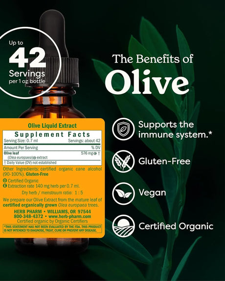 HERB PHARM - Herb Pharm Certified Organic Olive Leaf Liquid Extract 1 Fl.Oz. - The Red Vitamin MX - Suplementos Alimenticios - {{ shop.shopifyCountryName }}