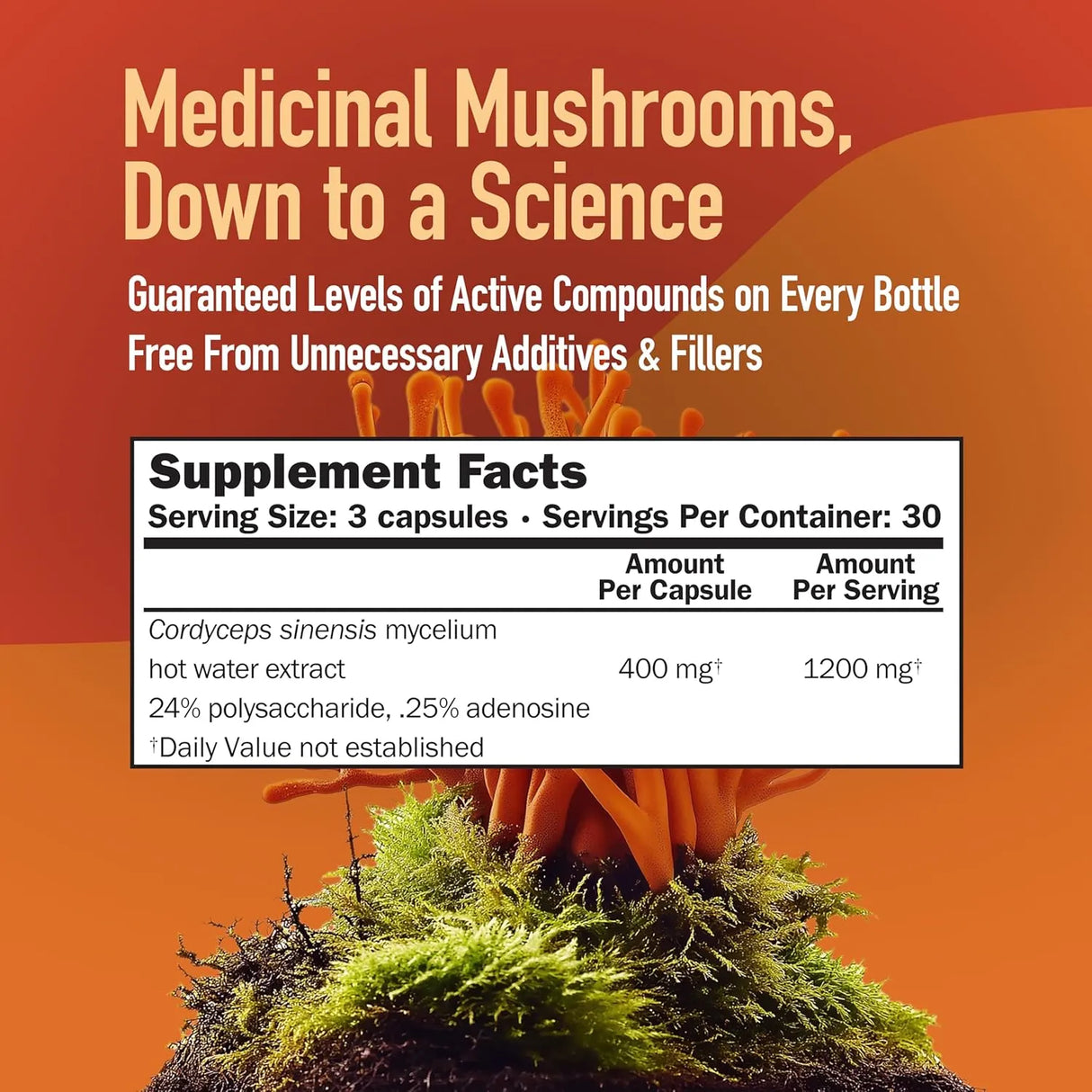 MUSHROOMSCIENCE - MushroomScience Cordyceps CS-4 90 Capsulas - The Red Vitamin MX - Suplementos Alimenticios - {{ shop.shopifyCountryName }}