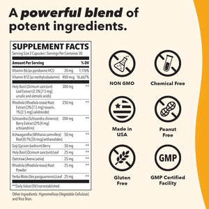 LIFE SEASONS - LifeSeasons Adrenal-T Adrenal Fatigue Support 60 Capsulas - The Red Vitamin MX - Suplementos Alimenticios - {{ shop.shopifyCountryName }}