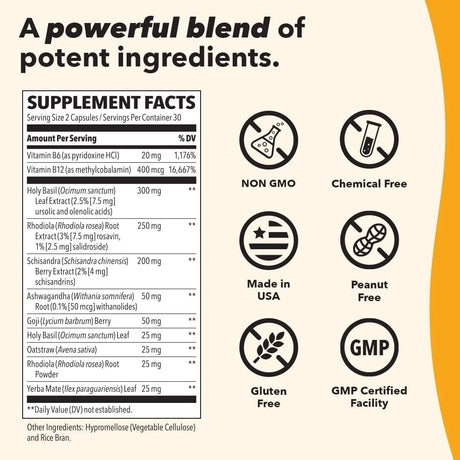 LIFE SEASONS - LifeSeasons Adrenal-T Adrenal Fatigue Support 60 Capsulas - The Red Vitamin MX - Suplementos Alimenticios - {{ shop.shopifyCountryName }}
