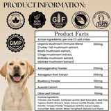 ELECTRIC ELIXIR - Electric Elixir Dogs Immune Support Mushroom Supplement 90 Masticables - The Red Vitamin MX - Suplementos Herbales Para Perros - {{ shop.shopifyCountryName }}