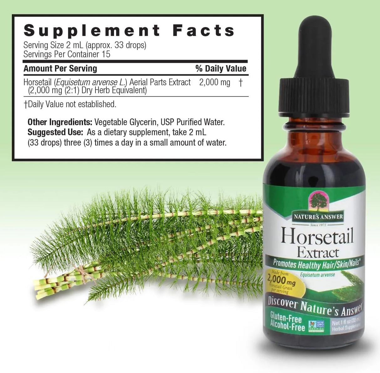 NATURE´S ANSWER - Nature's Answer Alcohol-Free Horsetail Herb Extract 1 Fl.Oz. - The Red Vitamin MX - Suplementos Alimenticios - {{ shop.shopifyCountryName }}