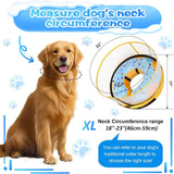 CNEO - Cneo Inflatable Dog Cone Collar with Detachable Enhanced Anti-Licking Shield BLUE XLARGE - The Red Vitamin MX - Collares y Conos De Recuperación Para Perros - {{ shop.shopifyCountryName }}