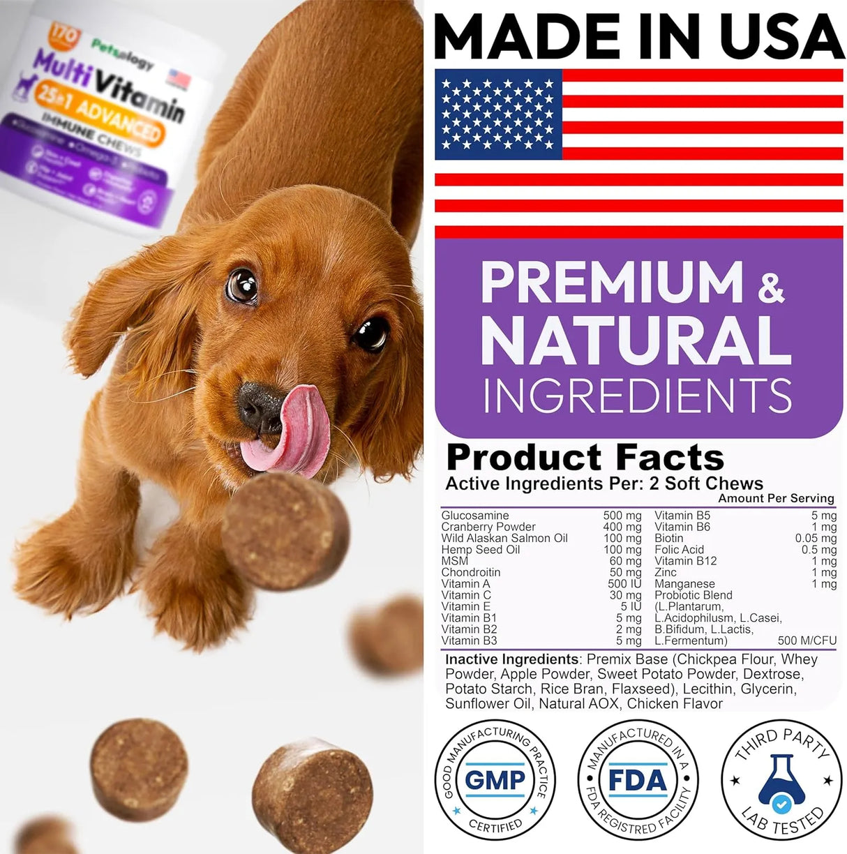 PETSOLOGY - Petsology Dog Multivitamin Chewable 170 Masticables - The Red Vitamin MX - Multivitamínicos Para Perros - {{ shop.shopifyCountryName }}