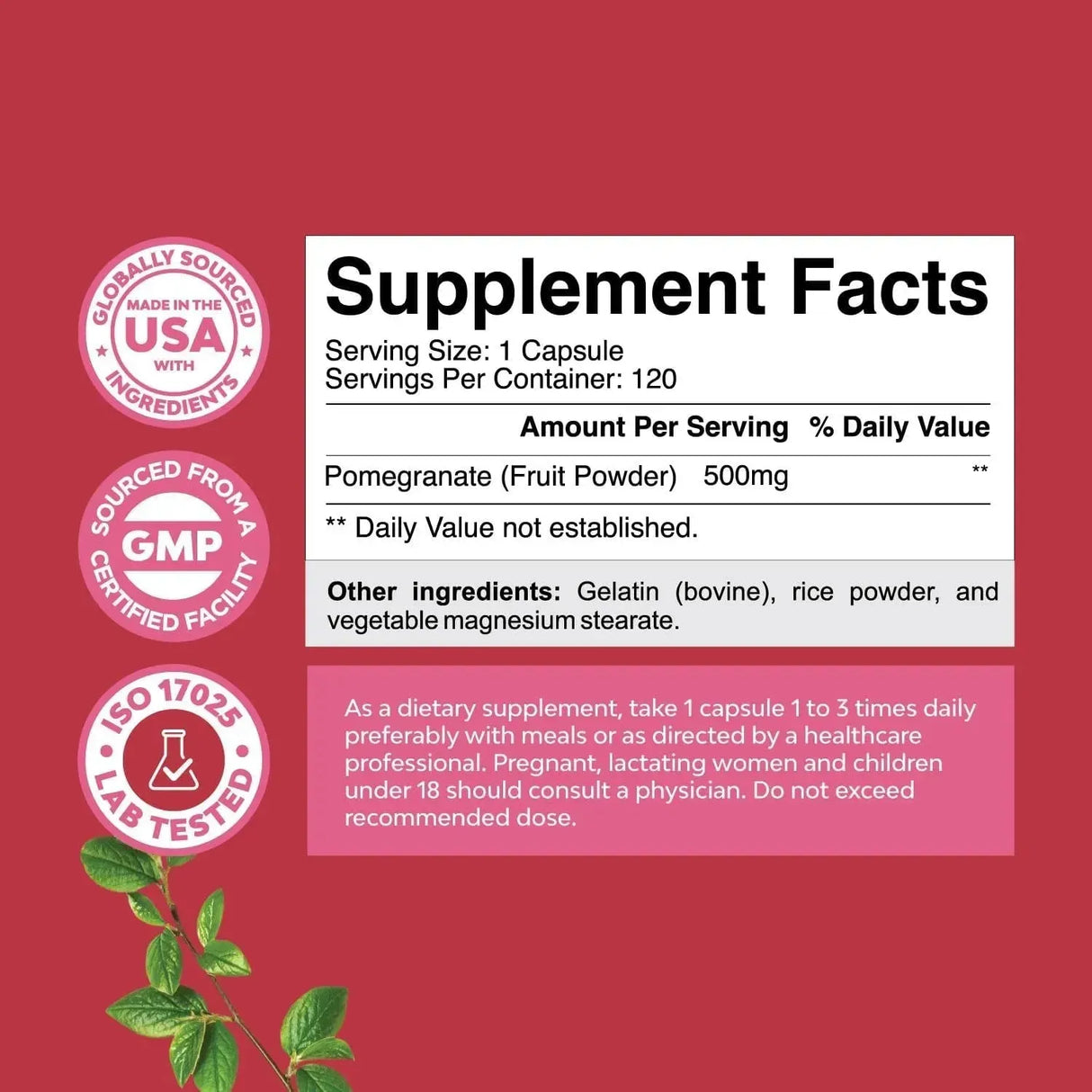 NATURES CRAFT - Natures Craft Advanced Antioxidant Superfood Pomegranate 120 Capsulas - The Red Vitamin MX - Suplementos Alimenticios - {{ shop.shopifyCountryName }}