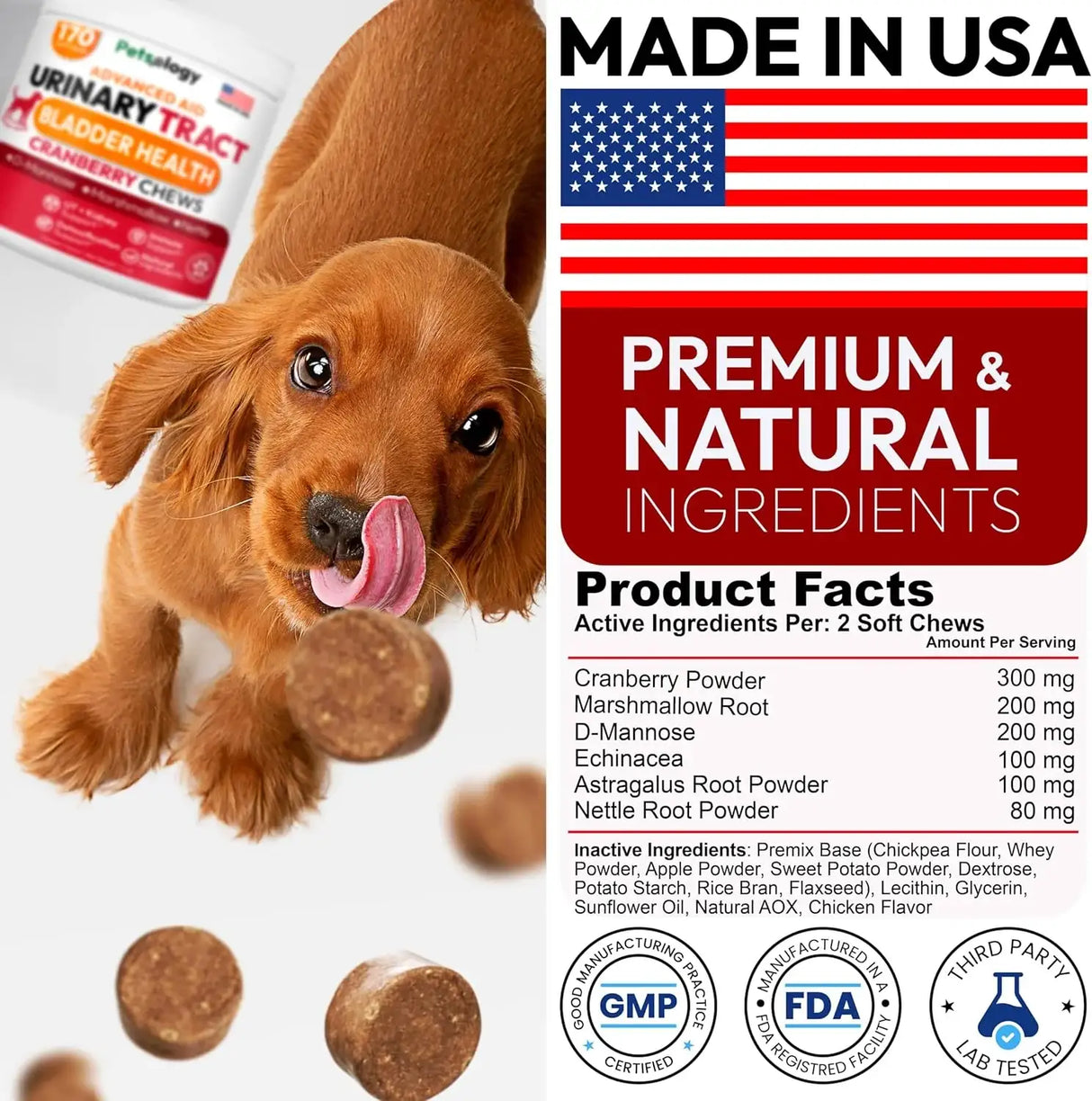 PETSOLOGY - Petsology Dog UTI Treatment Cranberry Chews 170 Masticables - The Red Vitamin MX - Salud De Tracto Urinario Para Perros - {{ shop.shopifyCountryName }}