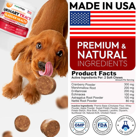 PETSOLOGY - Petsology Dog UTI Treatment Cranberry Chews 170 Masticables - The Red Vitamin MX - Salud De Tracto Urinario Para Perros - {{ shop.shopifyCountryName }}