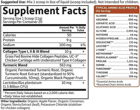 GARDEN OF LIFE - Garden of Life Multi-Sourced Collagen Turmeric 20 Servicios 220Gr. - The Red Vitamin MX - Suplementos Alimenticios - {{ shop.shopifyCountryName }}