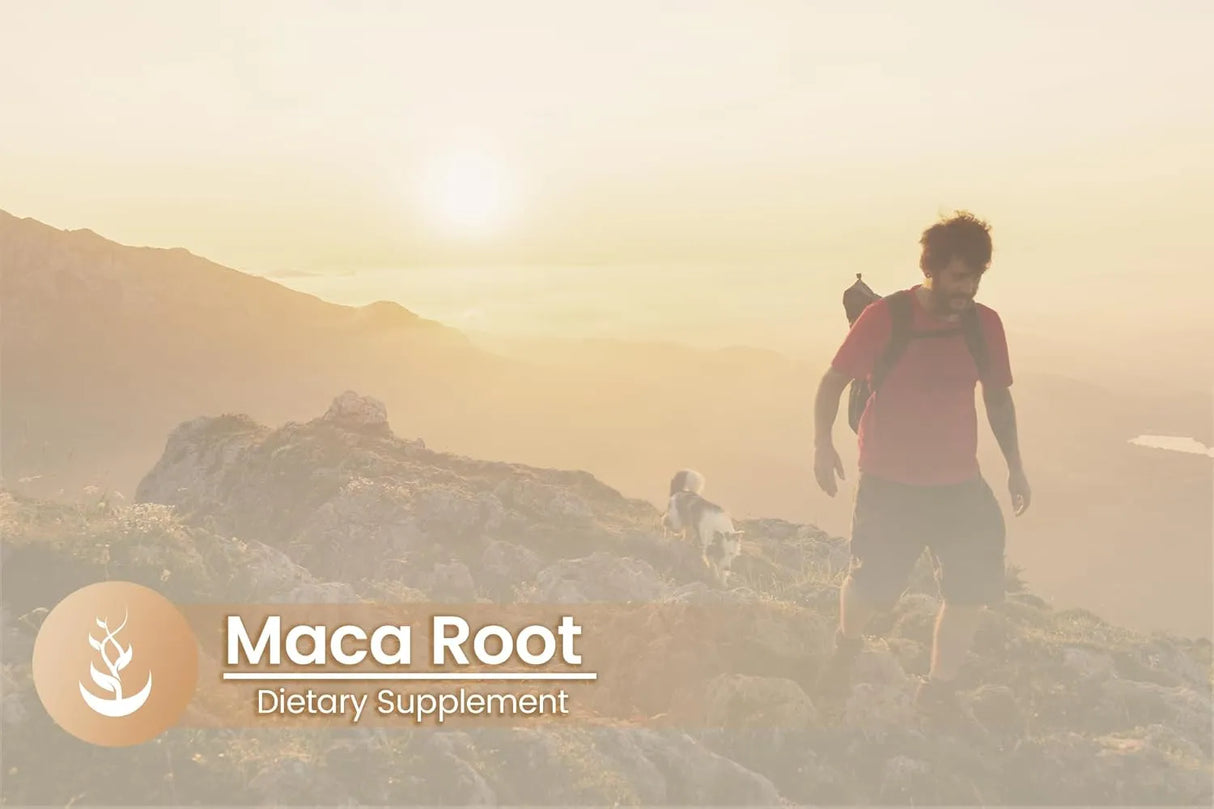 PURE ORIGINAL INGREDIENTS - Pure Original Ingredients Maca Root 100 Capsulas - The Red Vitamin MX - Suplementos Alimenticios - {{ shop.shopifyCountryName }}