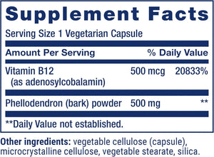 LIFE EXTENSION - Life Extension Dopamine Advantage 30 Capsulas - The Red Vitamin MX - Suplementos Alimenticios - {{ shop.shopifyCountryName }}