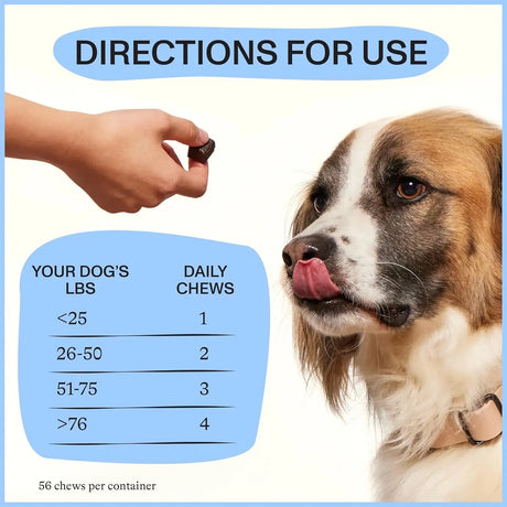 SPOT & TANGO - Spot & Tango Hip + Joint Supplement for Dogs 56 Masticables - The Red Vitamin MX - Cuidado De Cadera Y Articulaciones Para Perros - {{ shop.shopifyCountryName }}