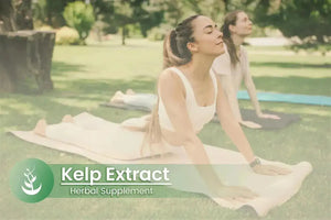 PURE ORIGINAL INGREDIENTS - Pure Original Ingredients Kelp Extract 100 Capsulas - The Red Vitamin MX - Suplementos Alimenticios - {{ shop.shopifyCountryName }}