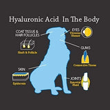 Hyalogic HyaFlex Pro-Complete Dog Joint Supplement 8 Fl.Oz.
