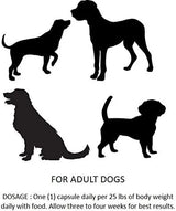 ESSENTIAL PET - Essential Pet Probiotics with Direct-fed Microorganisms for Digestive Support 90 Capsulas - The Red Vitamin MX - Probióticos Para Perros - {{ shop.shopifyCountryName }}