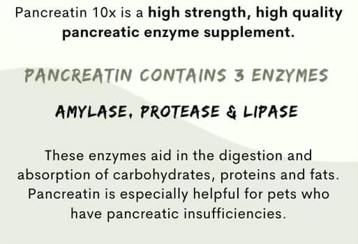 Paw Vitality Pancreatin 10X Pancreatic enzymes for Dogs and Cats 285Gr.