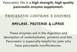 Paw Vitality Pancreatin 10X Pancreatic enzymes for Dogs and Cats 285Gr.