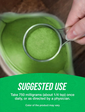 BULK SUPPLEMENTS - Bulk Supplements Organic Matcha Powder 500Gr. - The Red Vitamin MX - Suplementos Alimenticios - {{ shop.shopifyCountryName }}