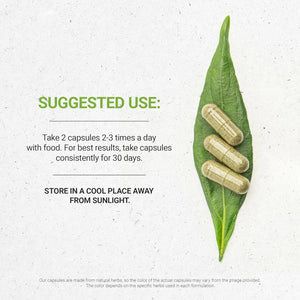 SECRETS OF THE TRIBE - Secrets of the Tribe Lemon Balm 1000Mg. 120 Capsulas - The Red Vitamin MX - Suplementos Alimenticios - {{ shop.shopifyCountryName }}
