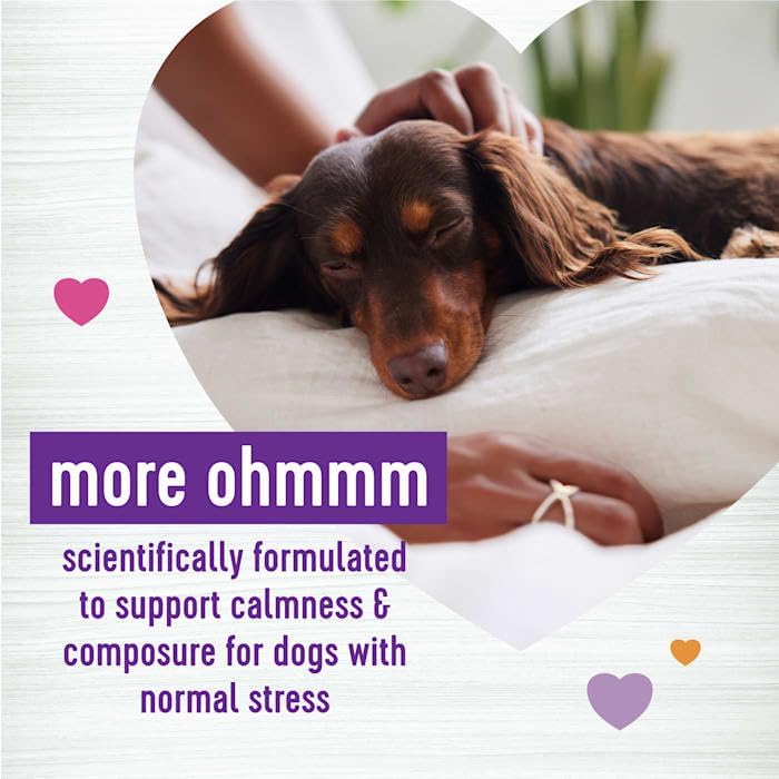 Wellness Tasty Cheese Flavored Soft Chews Calming 45 Masticables