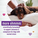 Wellness Tasty Cheese Flavored Soft Chews Calming 45 Masticables