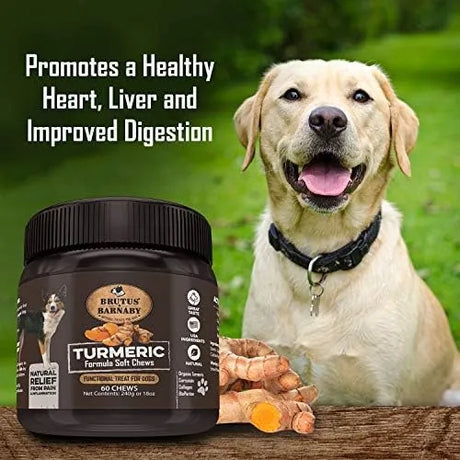 BRUTUS & BARNABY - BRUTUS & BARNABY Turmeric for Dogs 60 Masticables - The Red Vitamin MX - Cuidado De Cadera Y Articulaciones Para Perros - {{ shop.shopifyCountryName }}