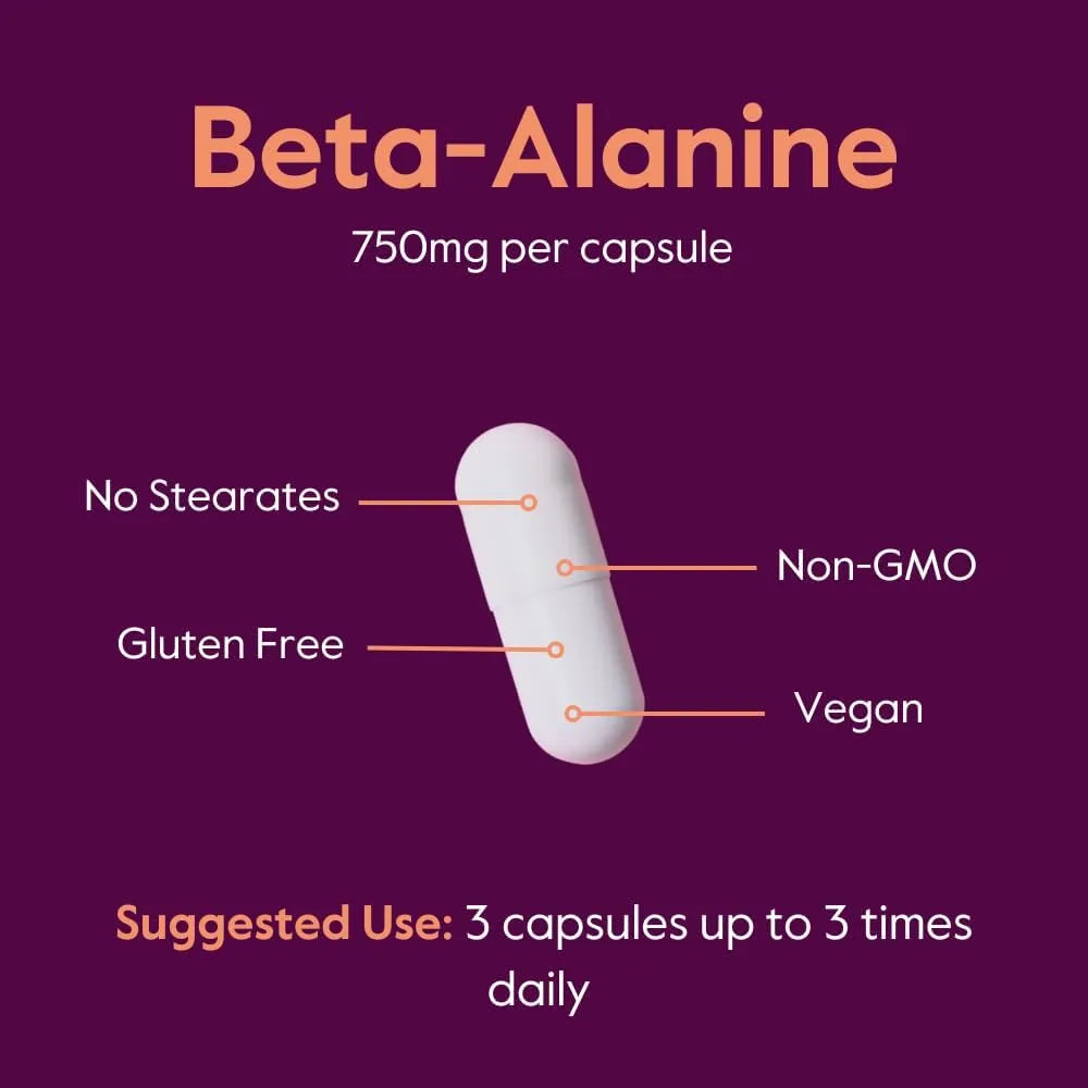 BESTVITE - BESTVITE Beta Alanine 750Mg. 240 Capsulas - The Red Vitamin MX - Suplementos Alimenticios - {{ shop.shopifyCountryName }}