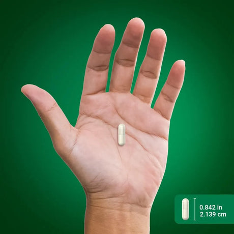 PIPING ROCK - Piping Rock Licorice Root Extract 900Mg. 180 Capsulas - The Red Vitamin MX - Suplementos Alimenticios - {{ shop.shopifyCountryName }}