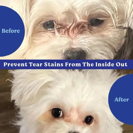 ANGELS' EYES - ANGELS' EYES Natural Tear Stain Prevention Soft Chews Beef Flavor 90 Masticables - The Red Vitamin MX - Cuidado De Los Ojos De Los Perros - {{ shop.shopifyCountryName }}