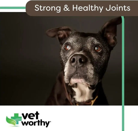 VET WORTHY - Vet Worthy Joint Support Level 4 Dog Supplement 60 Tabletas Masticables - The Red Vitamin MX - Cuidado De Cadera Y Articulaciones Para Perros - {{ shop.shopifyCountryName }}