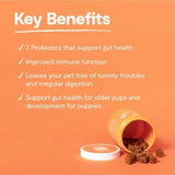OPEN FARM - Open Farm Probiotic Chews 90 Masticables - The Red Vitamin MX - Probióticos Para Perros - {{ shop.shopifyCountryName }}