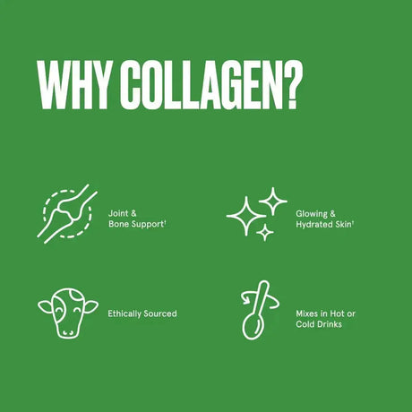 BULLETPROOF - Bulletproof Unflavored Collagen Peptides Powder 500Gr. - The Red Vitamin MX - Suplementos Alimenticios - {{ shop.shopifyCountryName }}