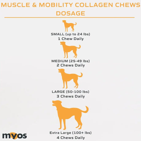 MYOS - MYOS Canine Muscle & Mobility Chews 60 Masticables - The Red Vitamin MX - Cuidado De Cadera Y Articulaciones Para Perros - {{ shop.shopifyCountryName }}