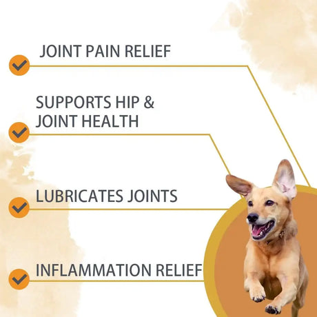 NUTRIDOG - Nutridog Hip and Joint Supplement for Dogs Duck 120 Masticables - The Red Vitamin MX - Cuidado De Cadera Y Articulaciones Para Perros - {{ shop.shopifyCountryName }}