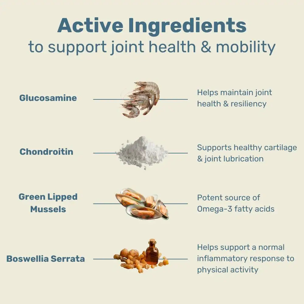 CANINE KEEPS - Canine Keeps Dog Hip and Joint Supplement 90 Masticables - The Red Vitamin MX - Cuidado De Cadera Y Articulaciones Para Perros - {{ shop.shopifyCountryName }}